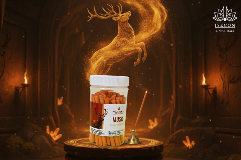 Yagnika Musk Dhoop Sticks 150 gram (Pack of 2)