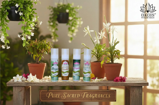 Pure Sacred Perfume combo(Pack of 4)