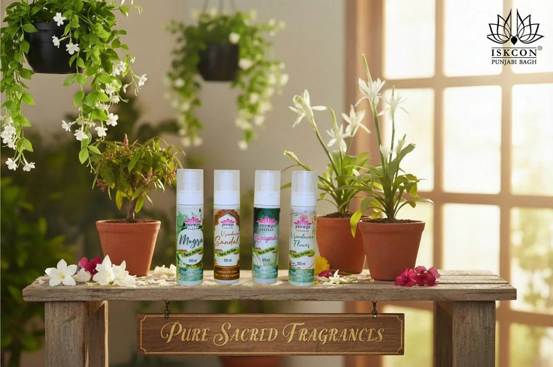 Pure Sacred Perfume combo(Pack of 4)