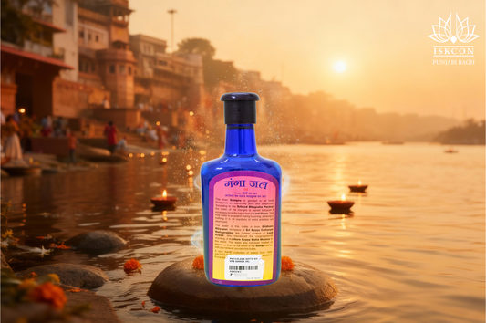 Ganga Water - 400 ml (Pack of 4)