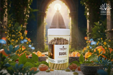 Yagnika Premium Dhoop Sticks