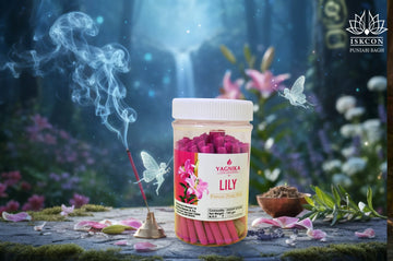 Yagnika Premium Dhoop Sticks