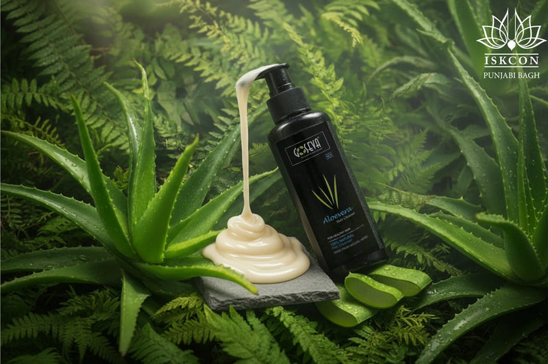 Aloe Veera Cleanser Shampoo( Pack of 3)