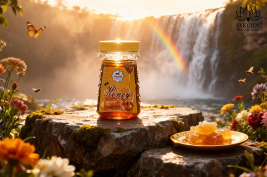 Shudh Honey